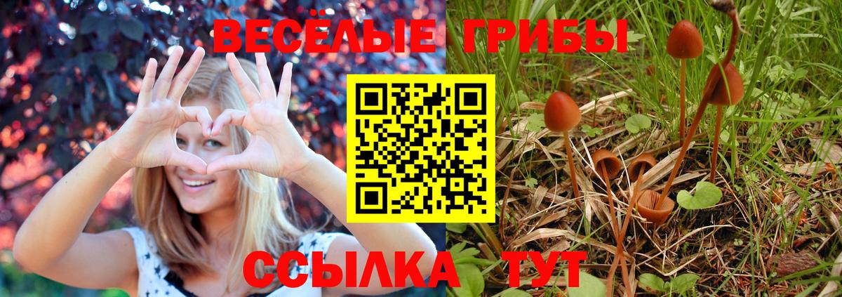 Галлюциногенные грибы Cubensis Екатеринбург