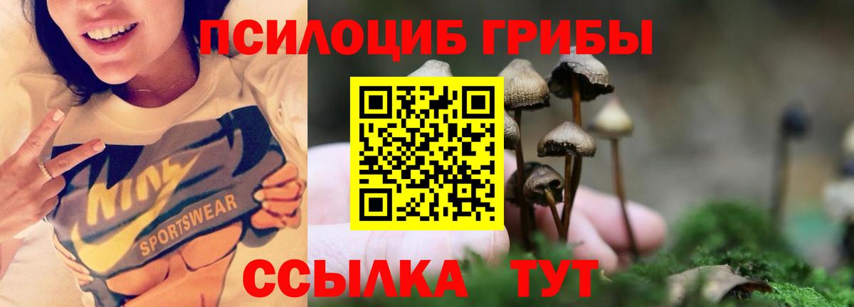 Псилоцибиновые грибы Cubensis  Вход с VPN  Екатеринбург 